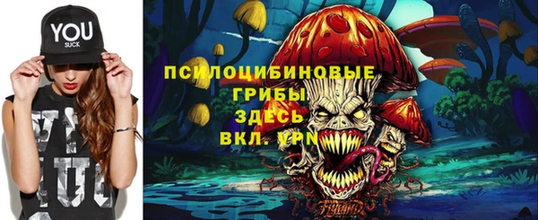 первитин Гусев