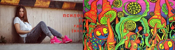 каннабис Гусиноозёрск