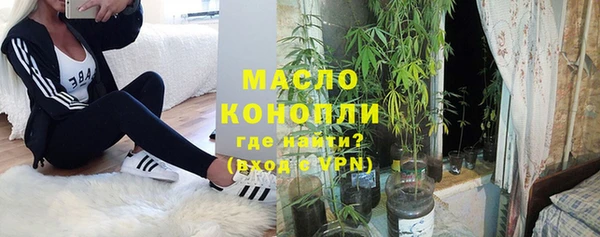 первитин Гусев
