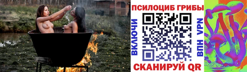 Галлюциногенные грибы ЛСД  Шатура 